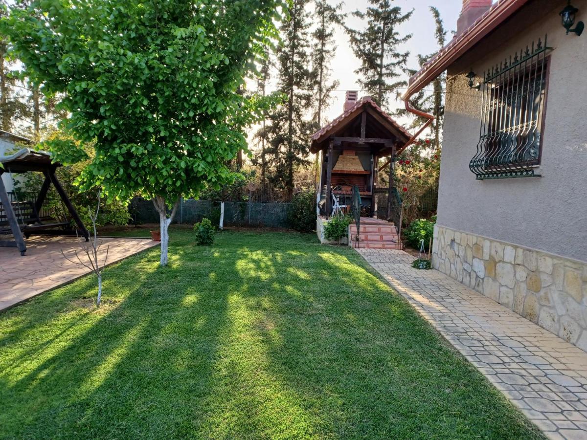 Nea Kallikrateia Villa Katerina מראה חיצוני תמונה
