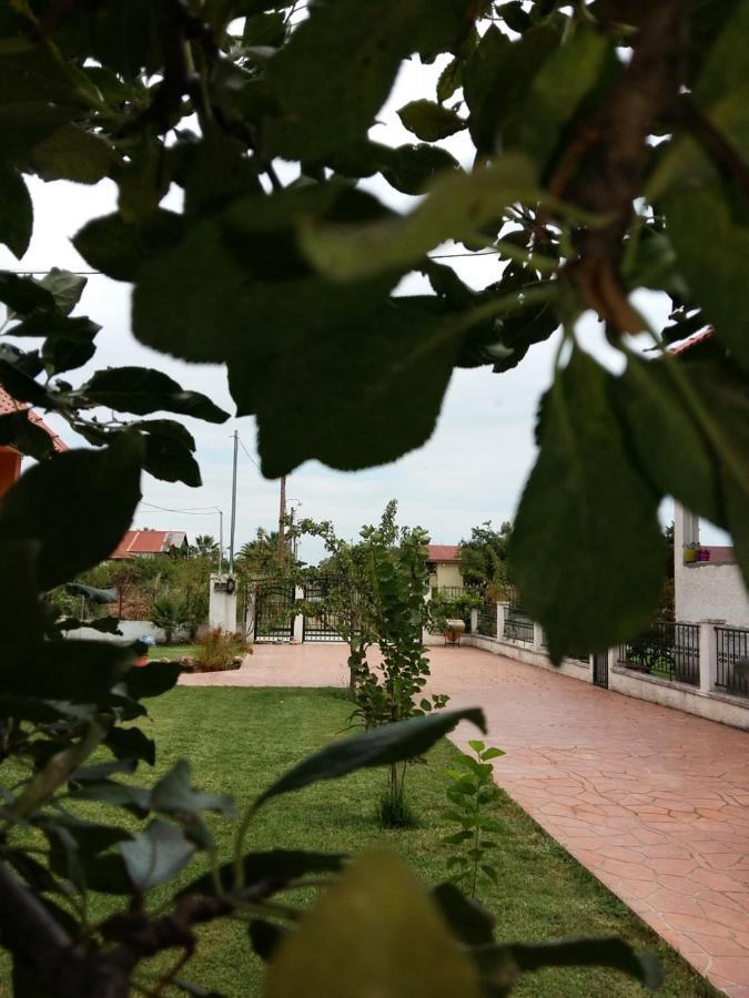 Nea Kallikrateia Villa Katerina מראה חיצוני תמונה
